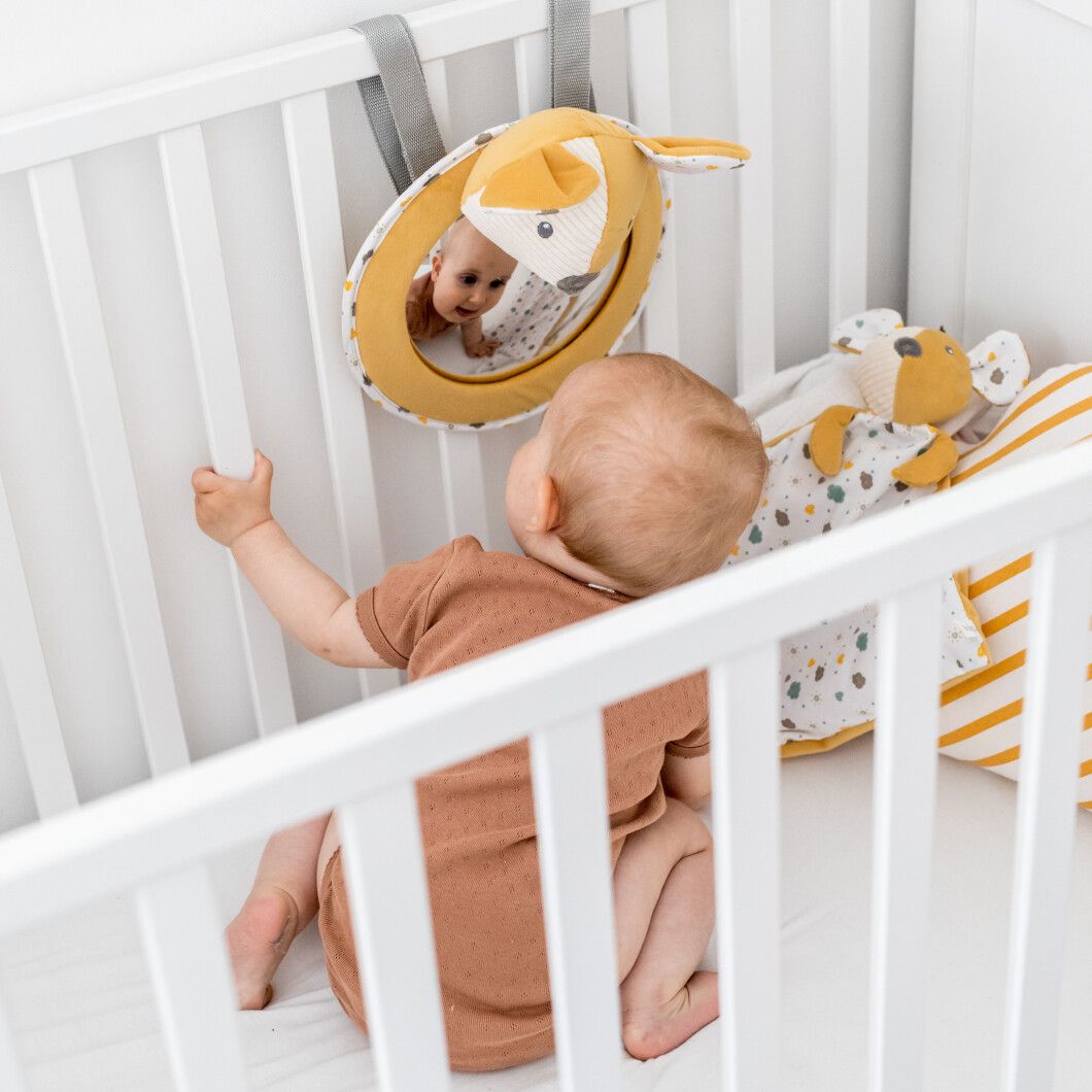 Іграшка-підвіска із дзеркалом, Canpol babies 77/203