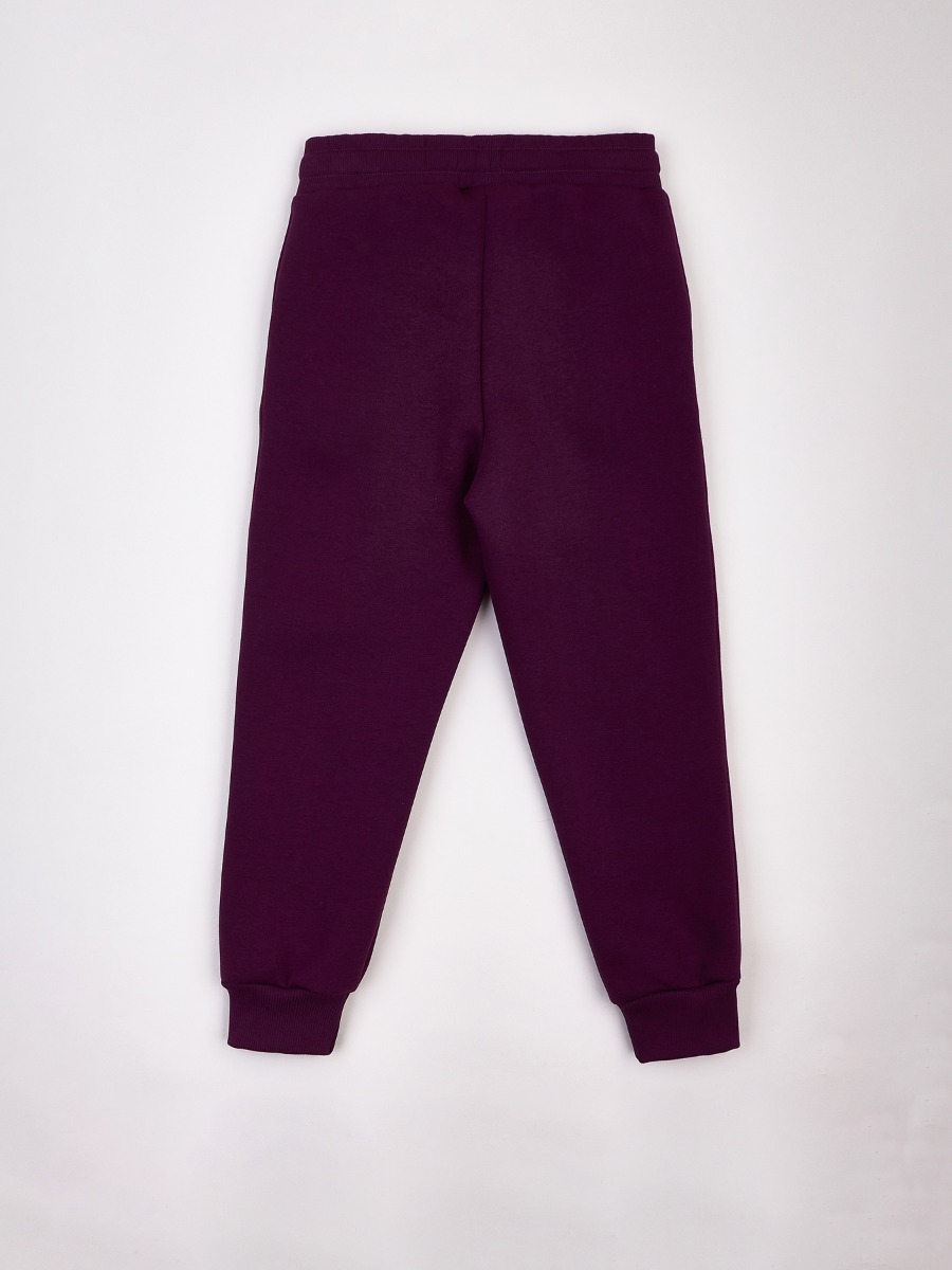 Трикотажні штани з густим начосом всередині для дівчинки, 5006L21