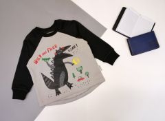 Трикотажный свитшот для ребенка (серый с черным), Robinzone КФ-722