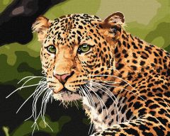 Картина по номерам "Зеленоглазый леопард" 40*50, Идейка КНО4322