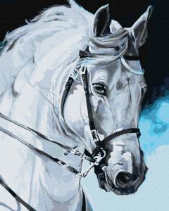 Картина по номерам "Гордая лошадь" 40*50, Идейка КНО4387