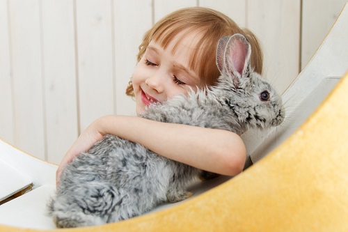 Як домашні тварини можуть вплинути на розвиток дитини